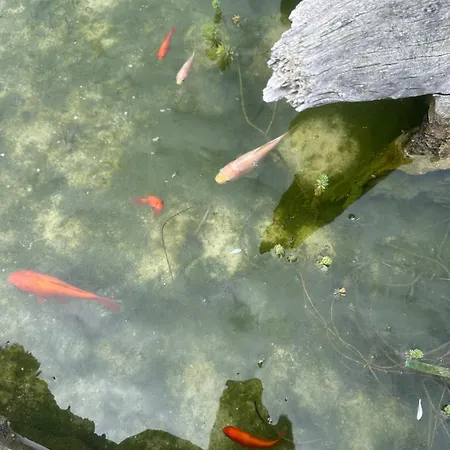 Chata Carballo De Prado 1900 *