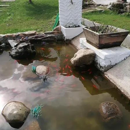 Carballo De Prado 1900 *