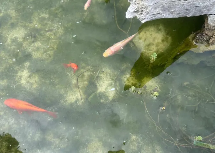 Jaktstuga Carballo De Prado 1900 *