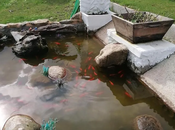 Carballo De Prado 1900 *